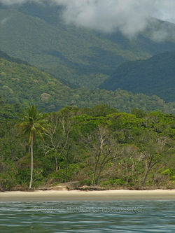 Veg Transect 64a,2b,1a,10a,14a,17a