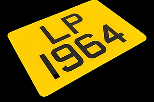 Bike Plate.png