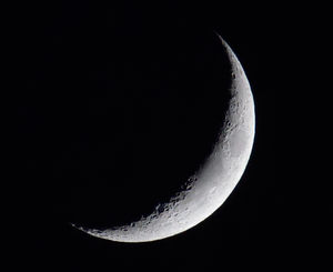 D500 Electronic Front Curtain Shutter Analysis