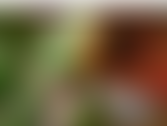 How to Fix Topaz Photo AI Color Shift Problems