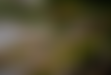 Tethered Shooting with Capture One and the Nikon Z9