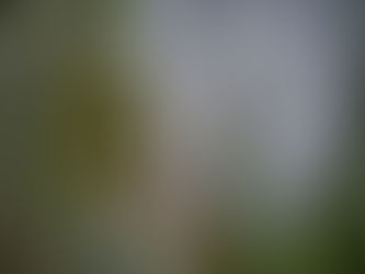 Extreme Perspective Photography Suggestions