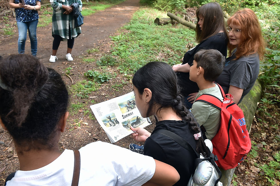 Neugierig blättern die Kinder in unserem kleinen Wolfscomic "Ein Jahr im Leben der Wölfe". Foto: Volker Vogel