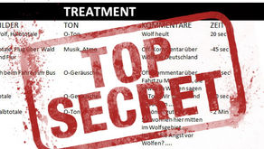 Ohne mein "Treatment" kein Film