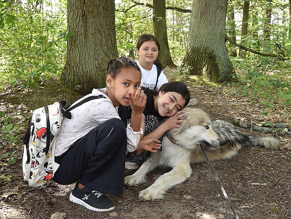 Kinder schmusen mit Wolfshündin Liv
