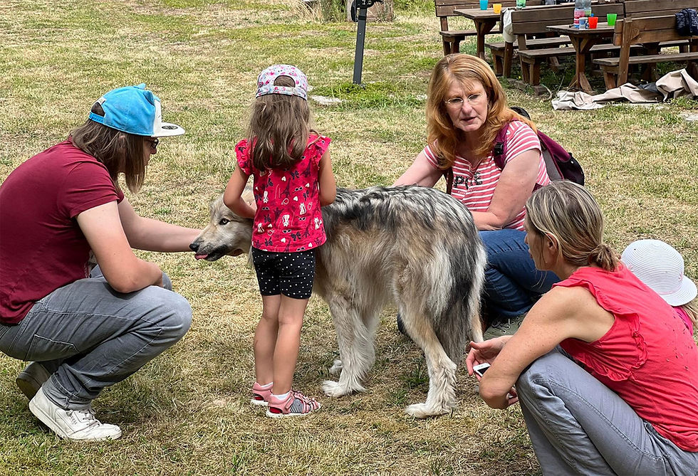 Liv, unsere Wolfshündin