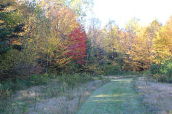 Trail on property