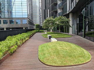 20210203_221312.jpg