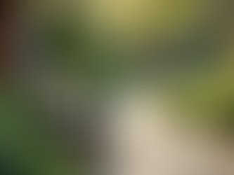 The Benefits of Psychotherapy in a Tranquil Setting