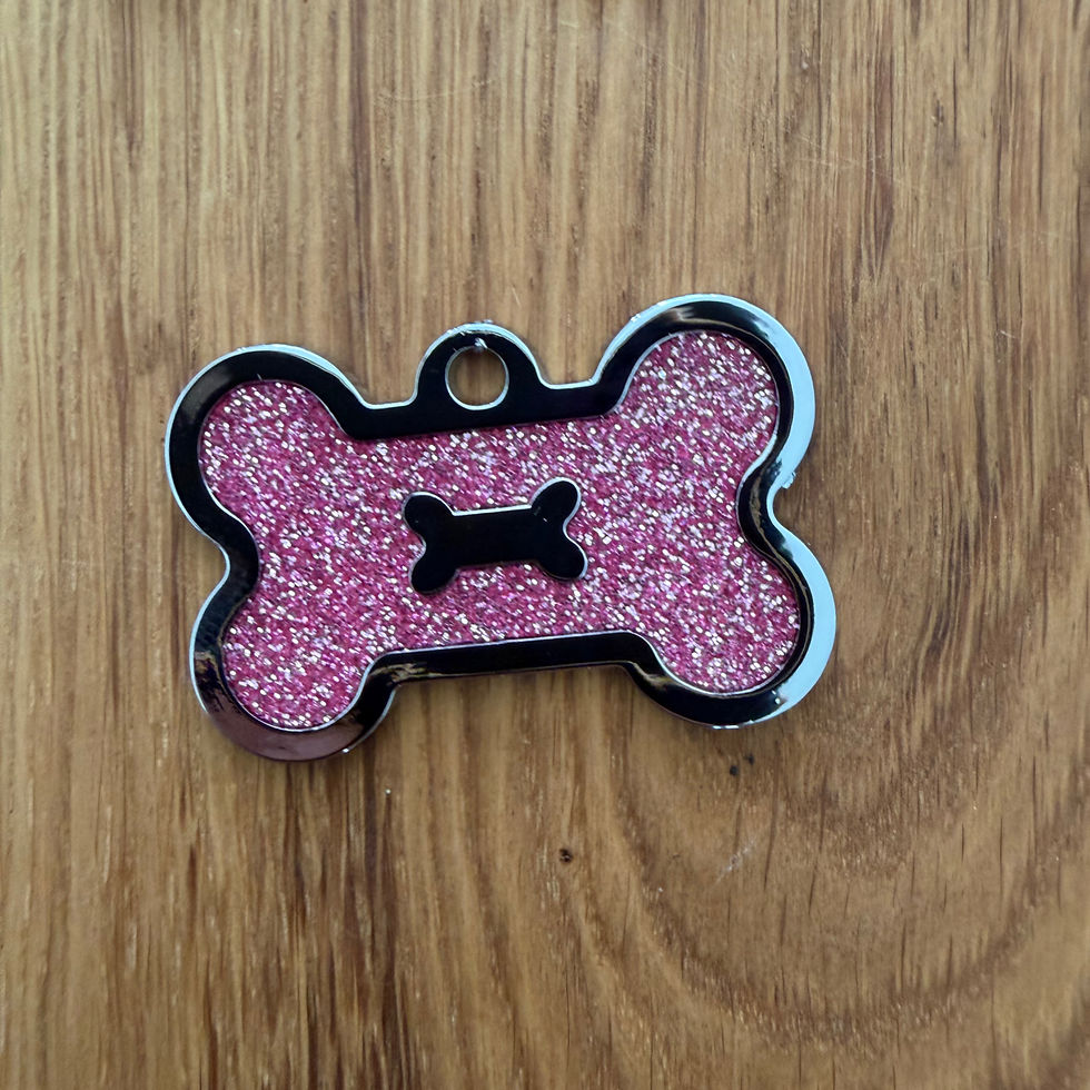 Thumbnail: Bone Dog Tag