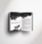 Open_Book_Mockup_ext.jpg
