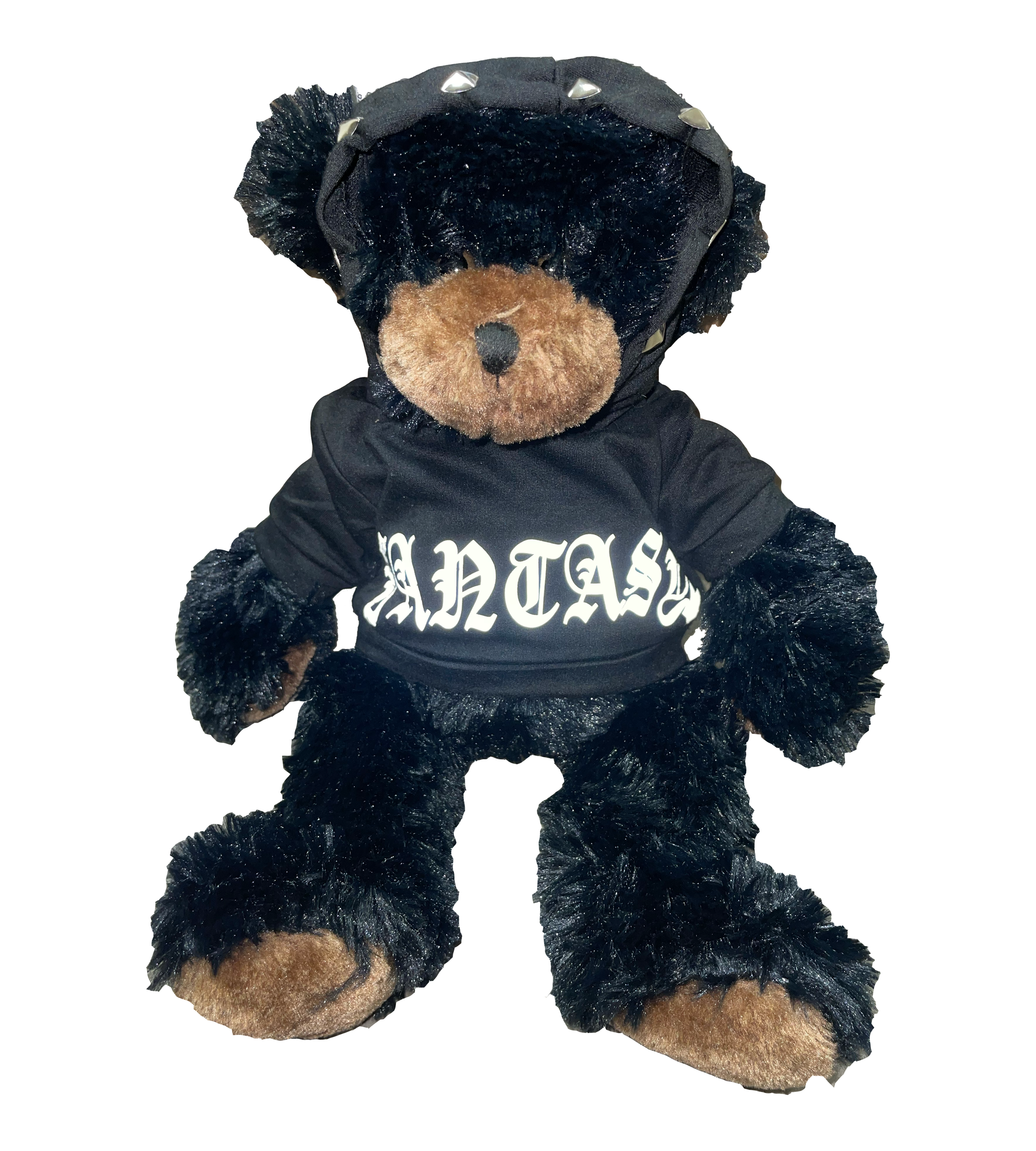 Reflective Teddy Bear