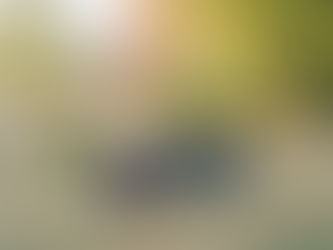 west lafayette family photos