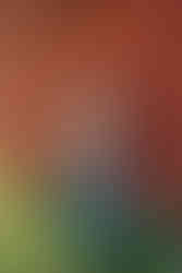 Carmel, Indiana senior photo