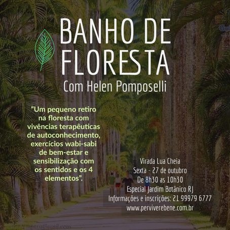 27 / outubro /2023 - Banho de Floresta especial virada do eclipse no Jardim Botânico RJ