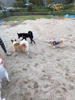 21462905_1820516324629710_8586622896739333215_n