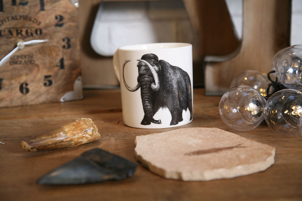 Thumbnail: Wooly Mamouth Fine bone china mug