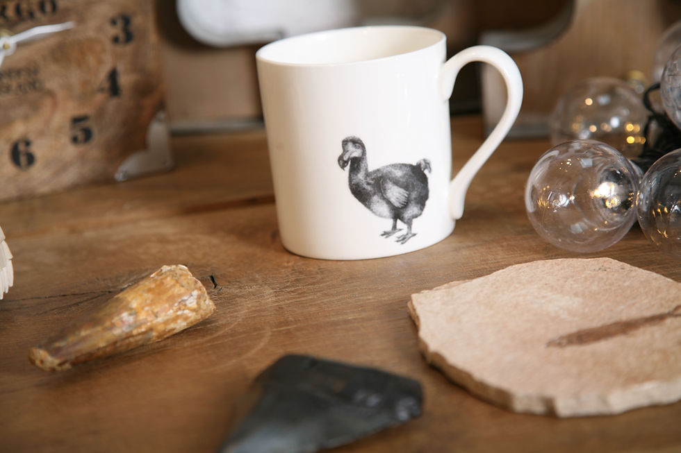 Thumbnail: Dodo Fine bone china mug