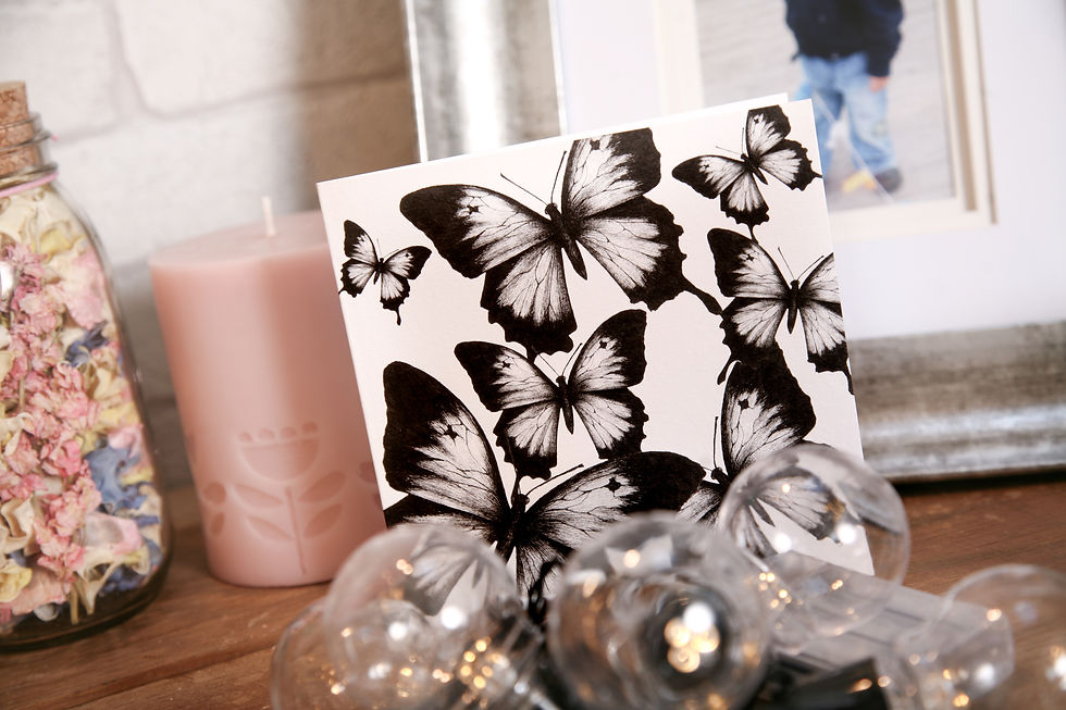 Thumbnail: Black Tipped Flutterby Butterflies