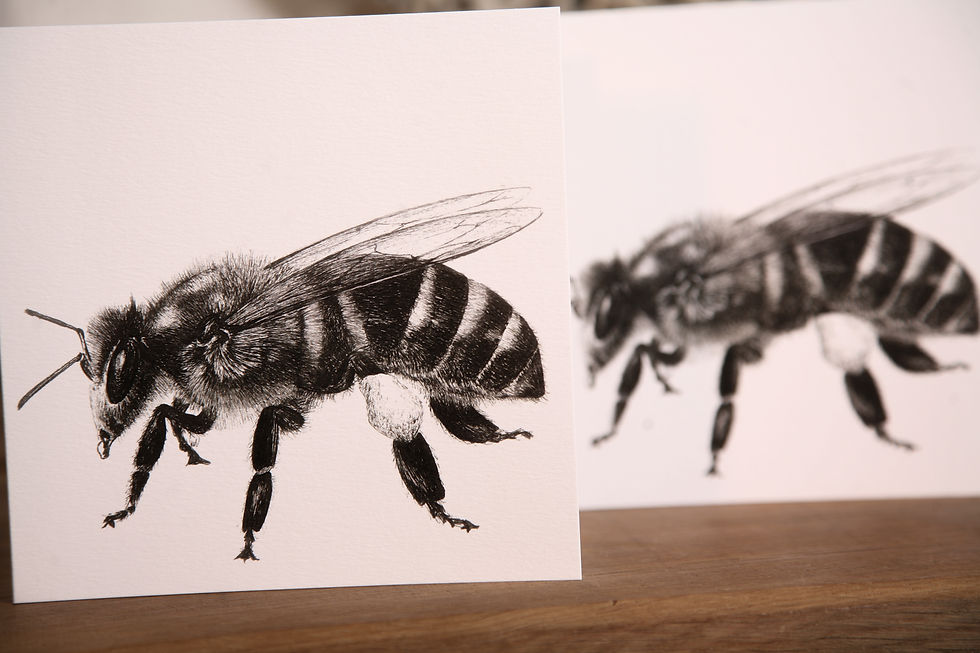 Thumbnail: Pollen Collector Greetings Card
