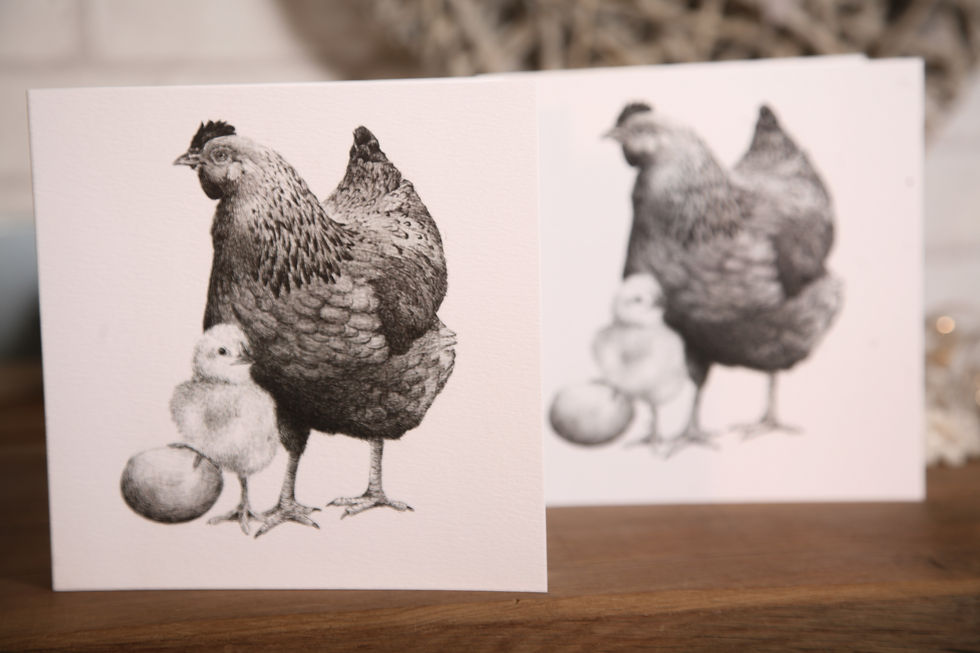 Thumbnail: Chicken and the Egg