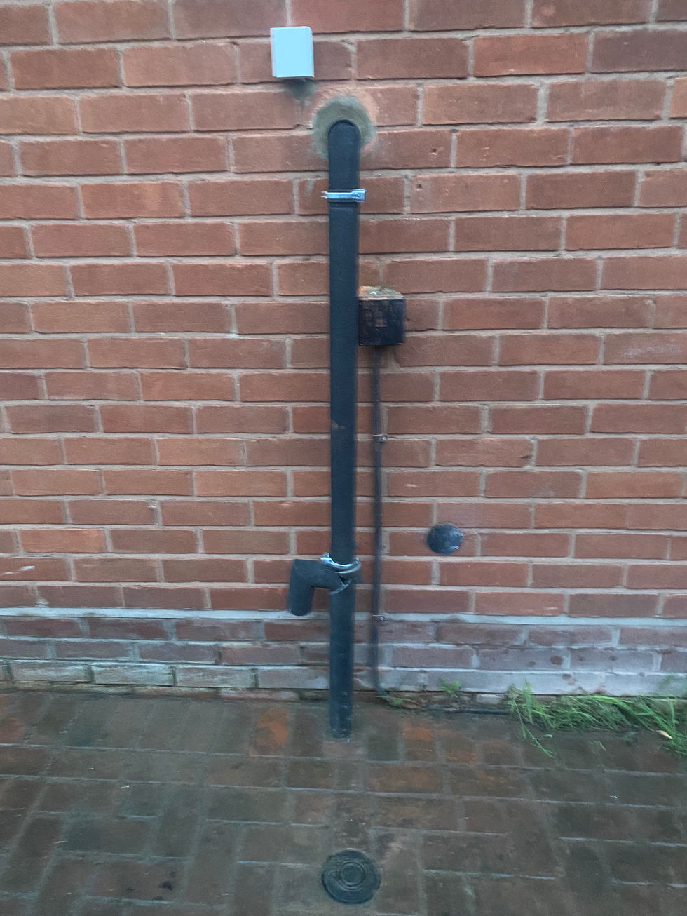 Viessmann Vitodens 100