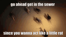 sewer-rat.gif