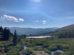 Trees and a lake with a field of flowers in the foreground and a mountain range in the background.