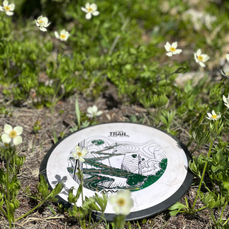 A white frisbee with a black rim has a green winding path graphic on it. The frisbee sits on the ground in a mix of dirt a green ground covering with small white flowers.