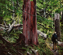 The Forest Flaneur III