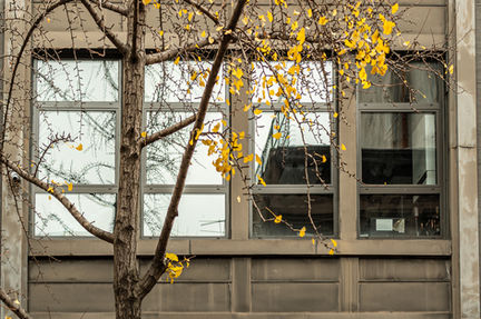 Spring in The City