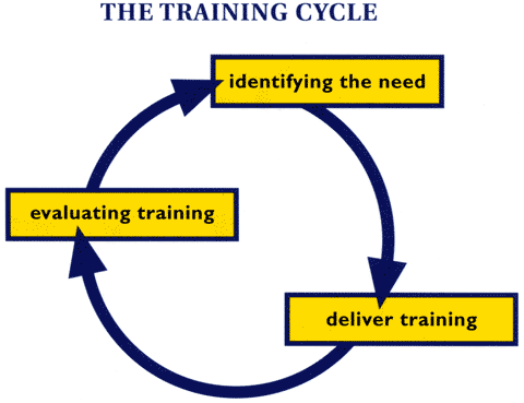 The training cycle simplified model