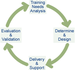 The Training Cycle