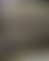 Pui Ching Primary School Digital Campus 培正小學啟動數碼校園