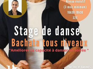            Stage de Danse