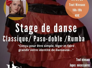           Stage de Danse
