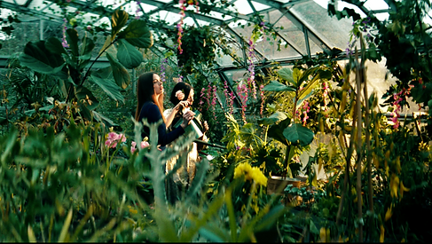 Screen Shot 2023-11-29 at 12.01.38.png