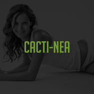 CACTI-NEA.png