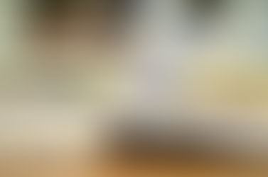 L'apprendimento e la sapienza