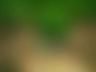 L'Ambiente - 4° zavorra