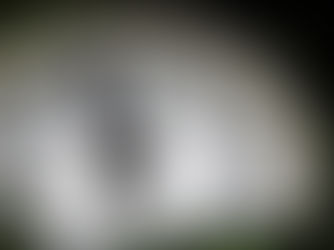 Il passato - 2° zavorra