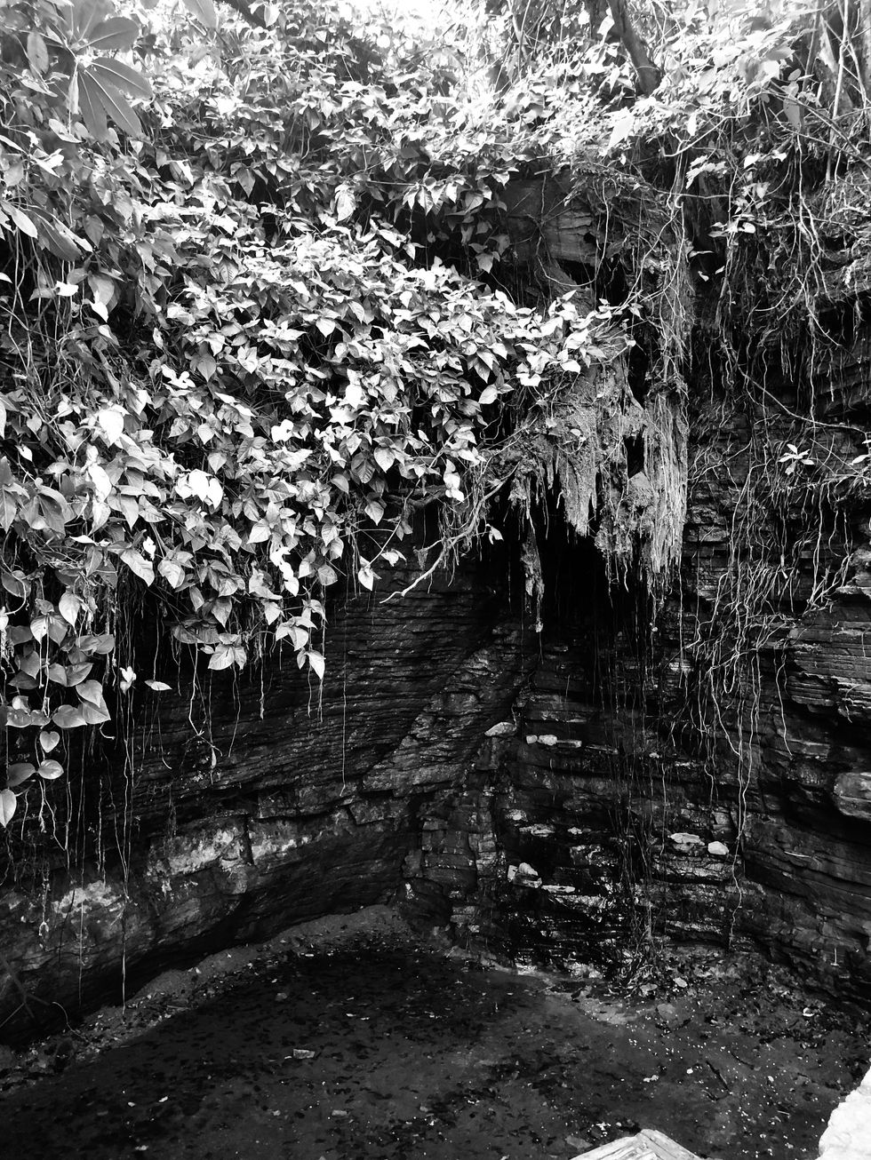 A cena se torna etérea, quase mística, com as folhas caindo suavemente sobre as pedras. A vegetação se expande sobre as rochas como um manto que protege a terra. A fotografia em preto e branco amplia a intensidade das texturas da rocha, fazendo com que o contraste entre o verde vibrante e a pedra milenar se torne mais profundo, mais cheio de histórias que se misturam ao ar.