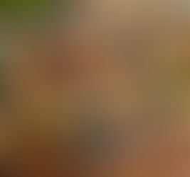 Fundamentos do marketing válidos para recuperar empresas / Consultoria empresarial