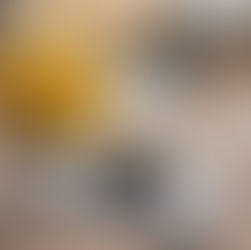 Qual a diferença entre uma mão de obra experiente e uma mão de obra qualificada ?