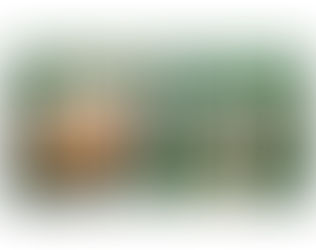 【カワスイ 川崎水族館 でオリジナルぬいぐるみを販売中!】