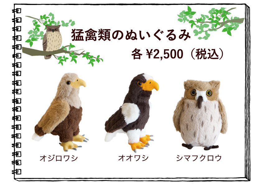 猛禽類のぬいぐるみ 新発売のお知らせ】