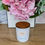 Thumbnail: Sensory Rituals Amalfi Coast Soy Candle