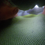 Thumbnail: Giant Chris Steps on You