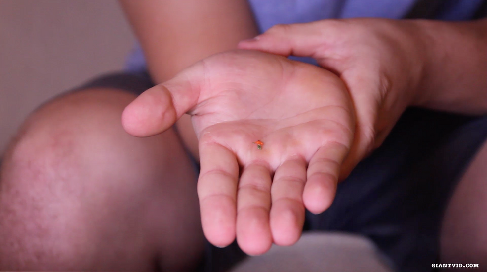 Thumbnail: Austin & The Shrunken Car