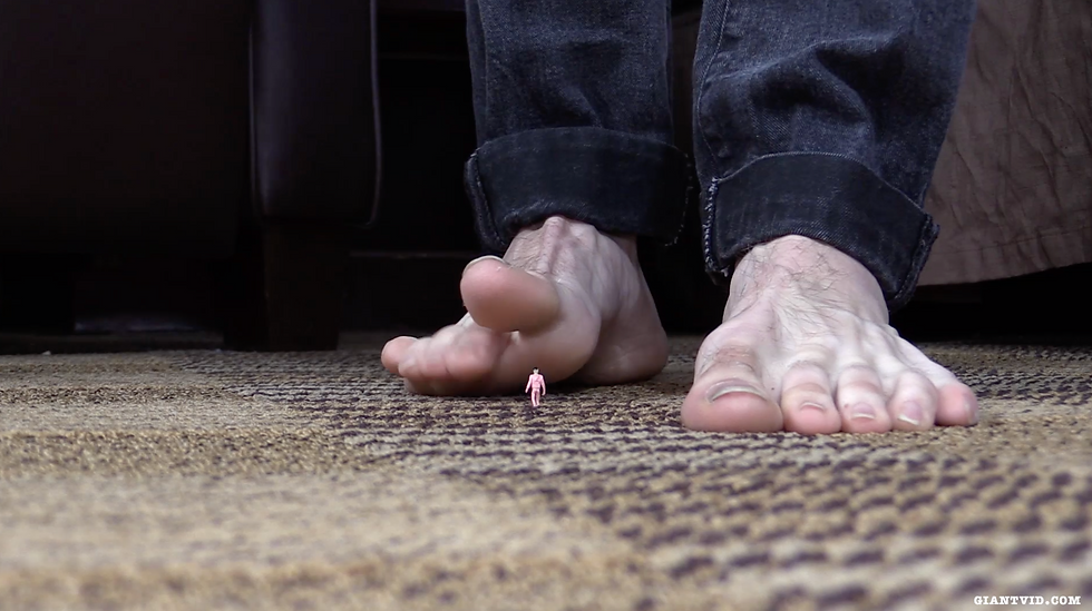 Thumbnail: Carters Little Piggies